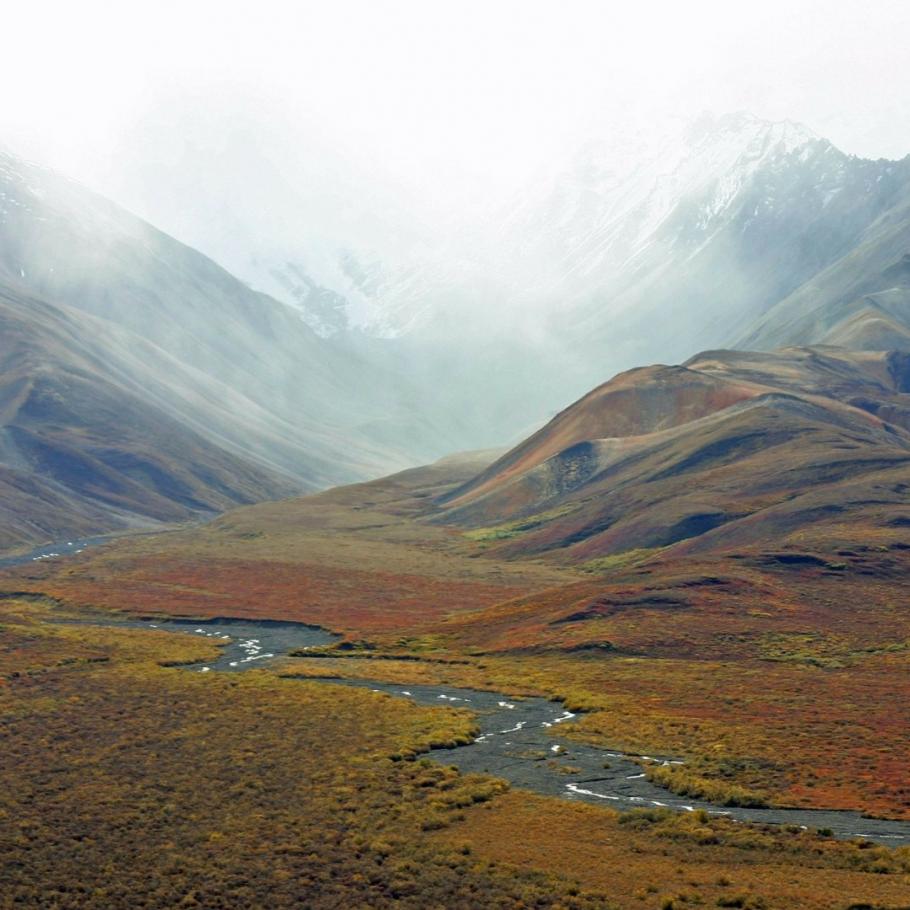 Viaggi in Alaska - Denali e Kenai Fjords in self drive