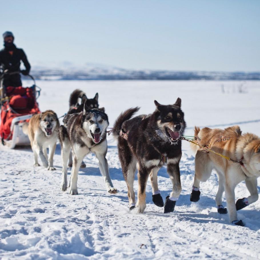 Alaska - Great Alaska Self Drive Tour