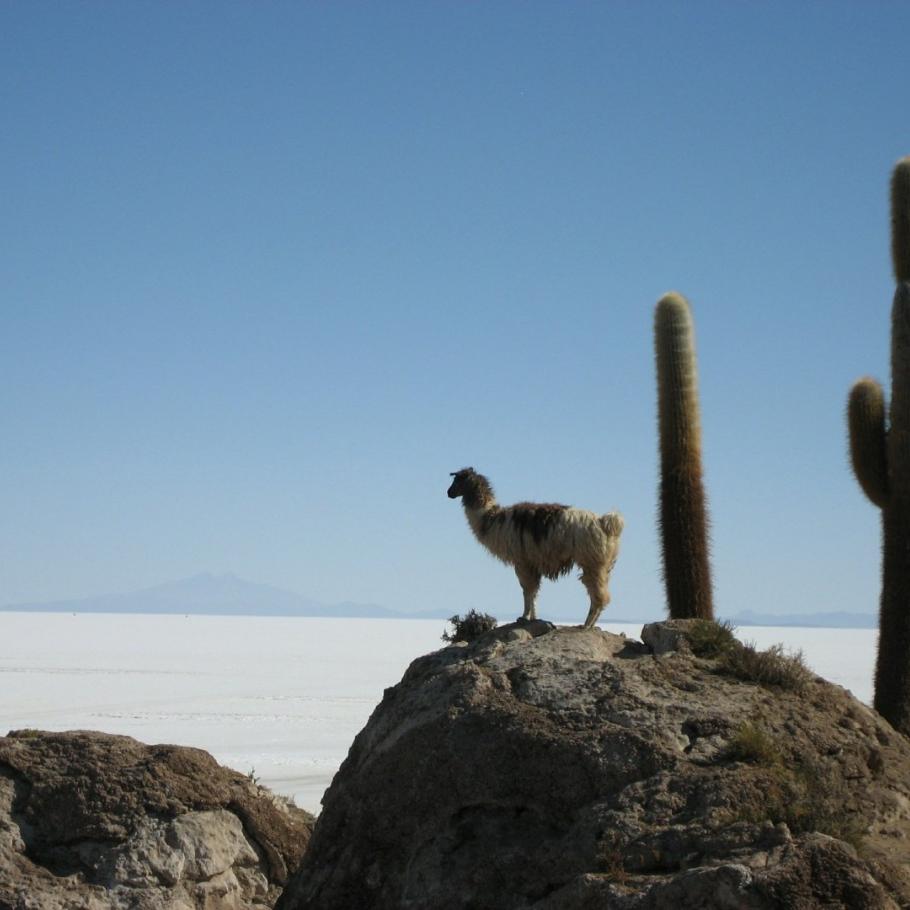 Bolivia - Imperdibile Bolivia