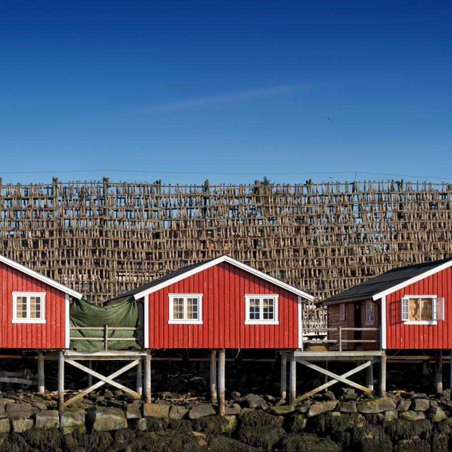 Viaggio in Norvegia - Le Isole Lofoten e Vesteralen