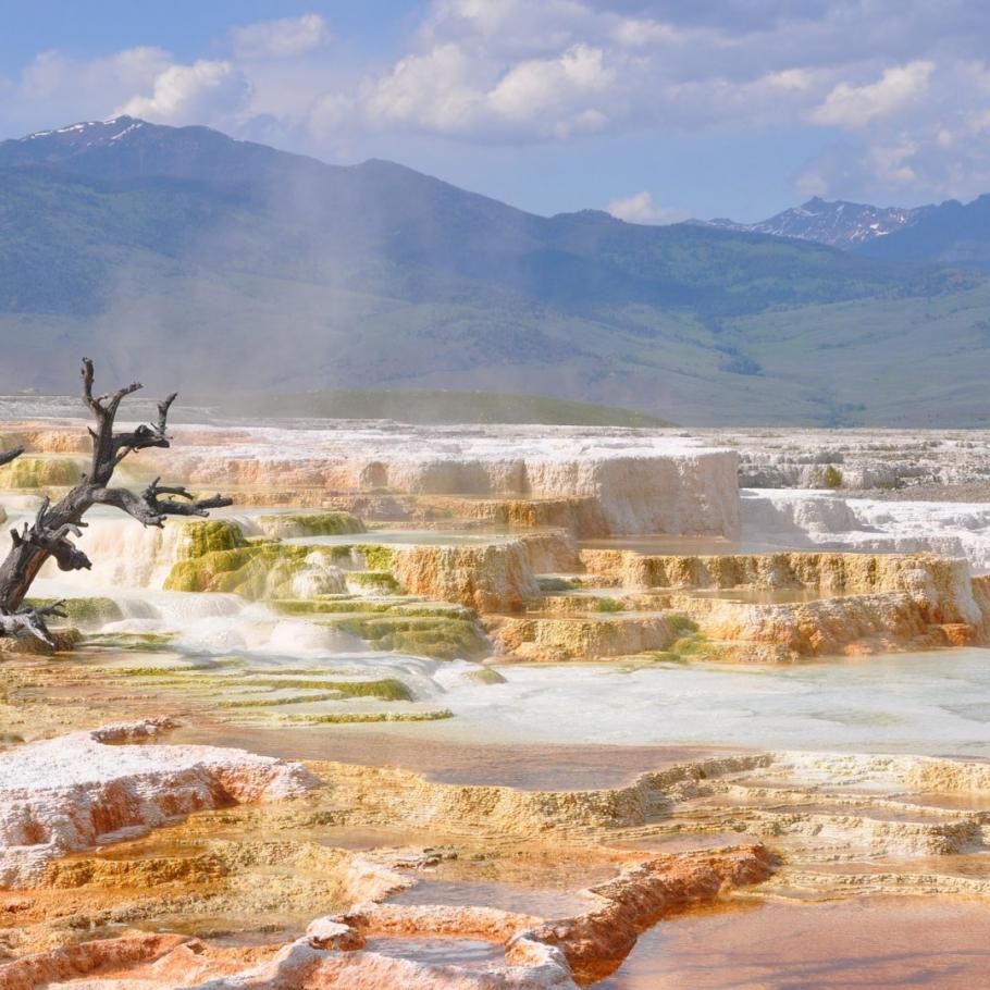USA - Il paradiso della fauna selvatica nelle Montagne Rocciose