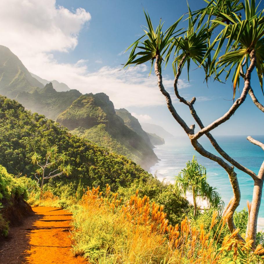 USA - Hawaii Trails - Sentieri del Pacifico del Sud - Hiking