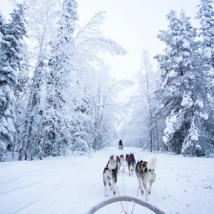 Finlandia - Helsinki e la Lapponia finlandese