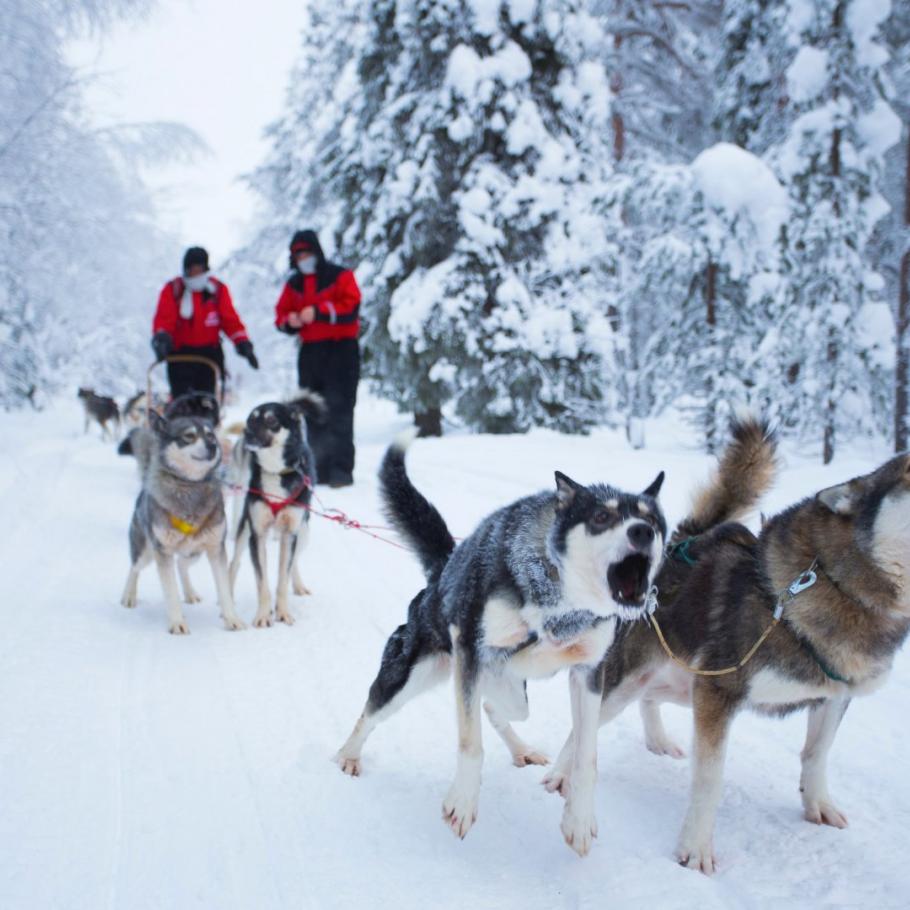 Finlandia - Helsinki e la Lapponia finlandese