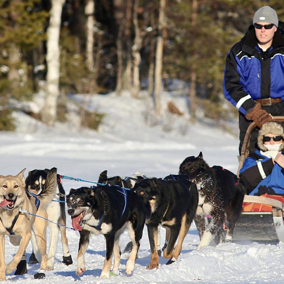 Finlandia - Rovaniemi e la Lapponia Finlandese