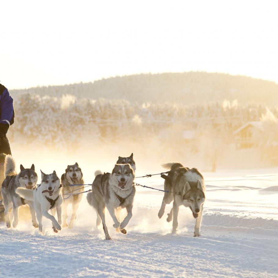 Finlandia - Viaggio di nozze in Lapponia finlandese