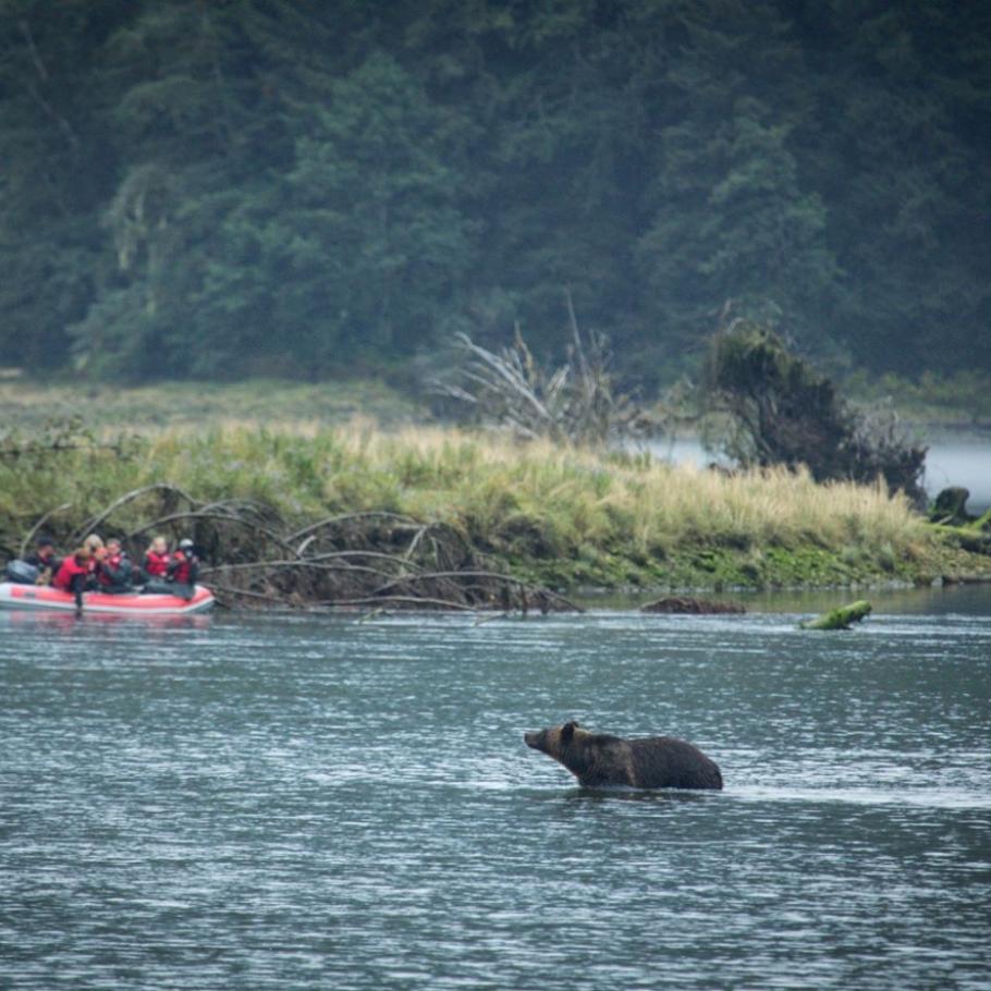 Spirit Bear Lodge