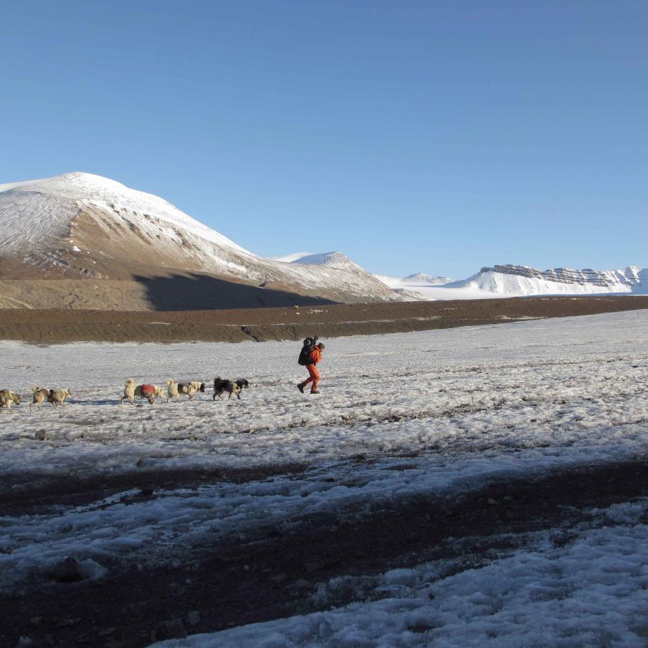 Isole Svalbard - Opera Trek