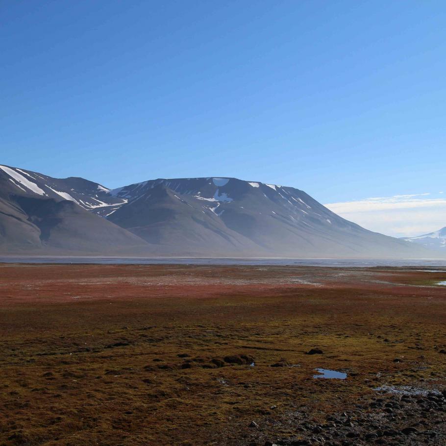 Isole Svalbard - Opera Trek