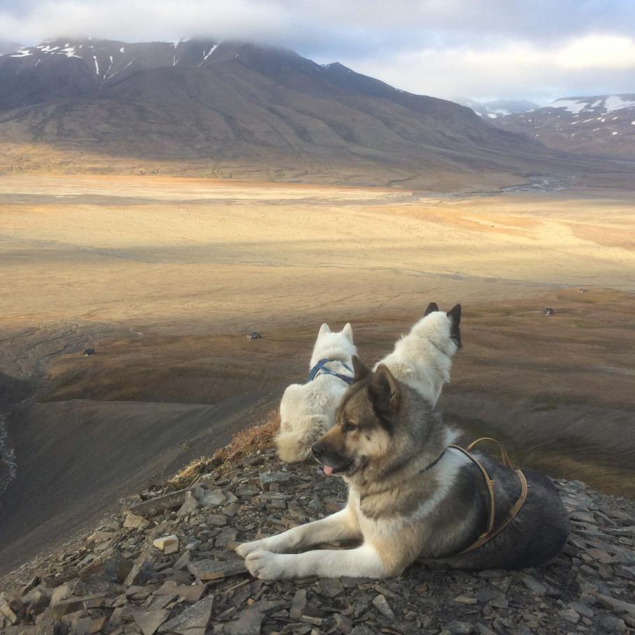 Isole Svalbard - Opera Trek