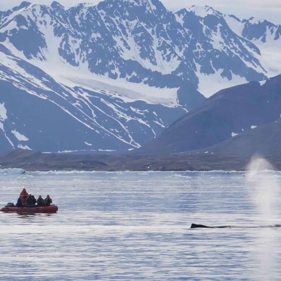 Isole Svalbard - Viaggio nell'Artico in barca a vela