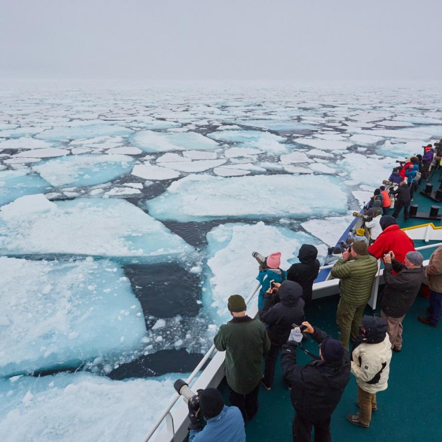 Isole Svalbard - Alla ricerca dell'orso polare