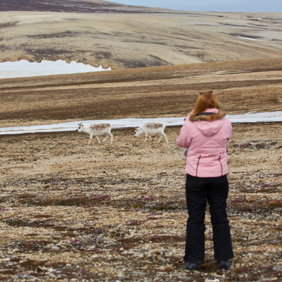 Isole Svalbard - Alla ricerca dell'orso polare