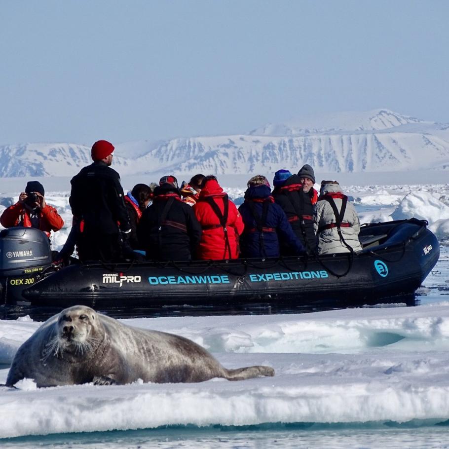 Isole Svalbard - Alla ricerca dell'orso polare