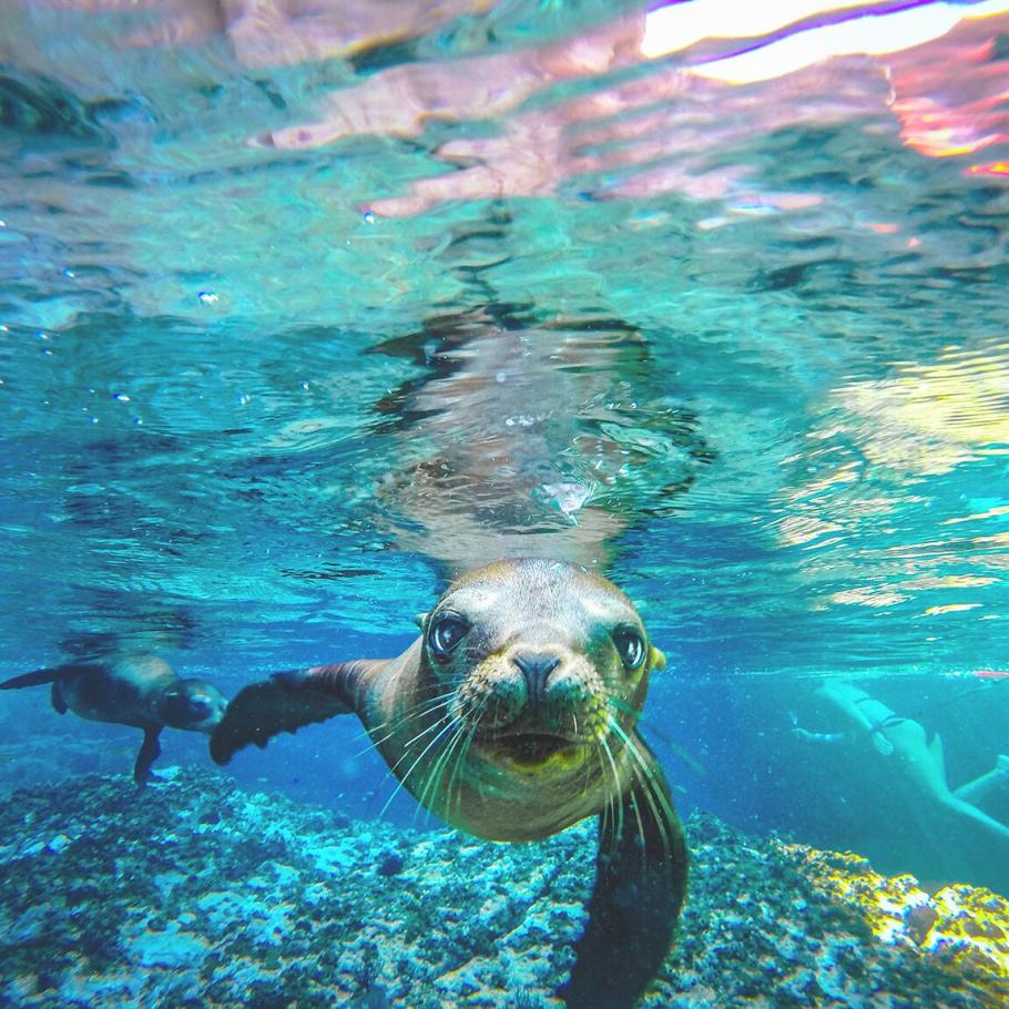 Baja California - Baja California del Sud
