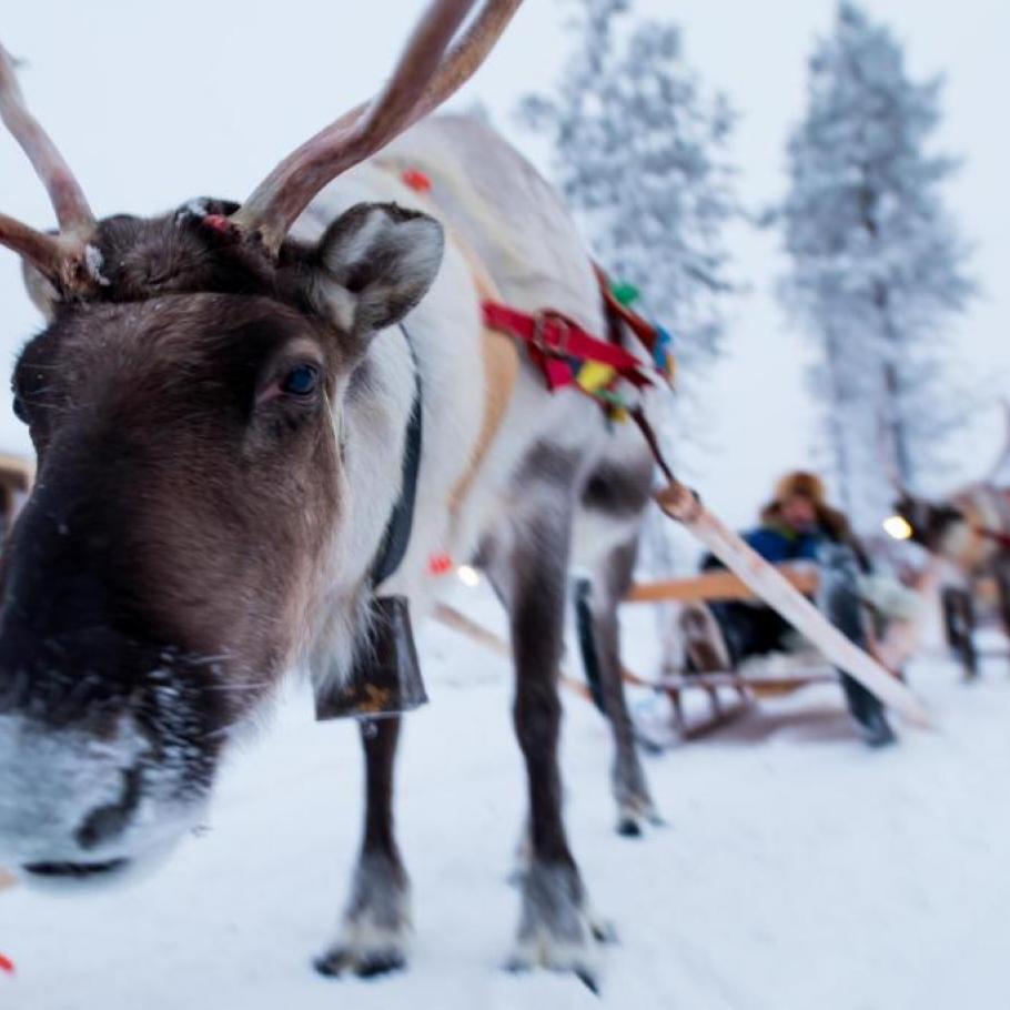 Finlandia - Il meglio della Lapponia in 6 giorni