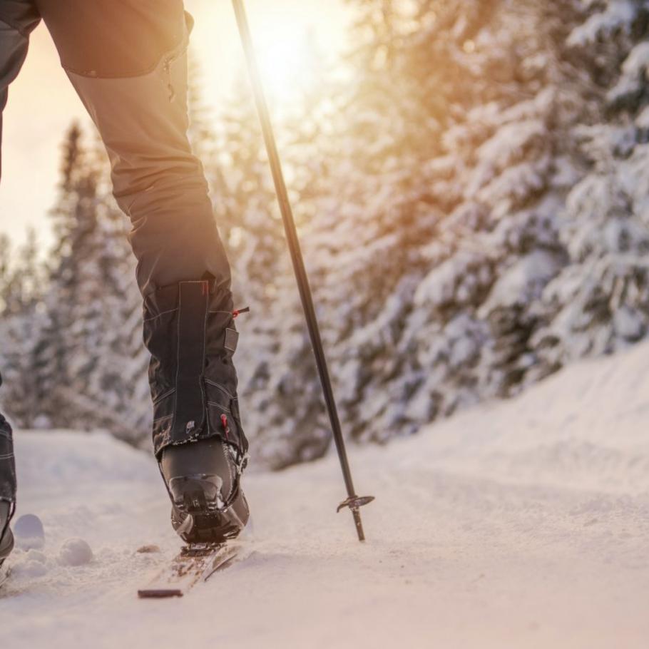 Finlandia - Alla ricerca di Babbo Natale con tutta la famiglia