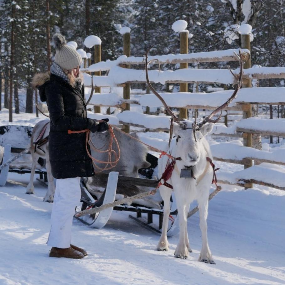 Finlandia - Alla ricerca di Babbo Natale con tutta la famiglia