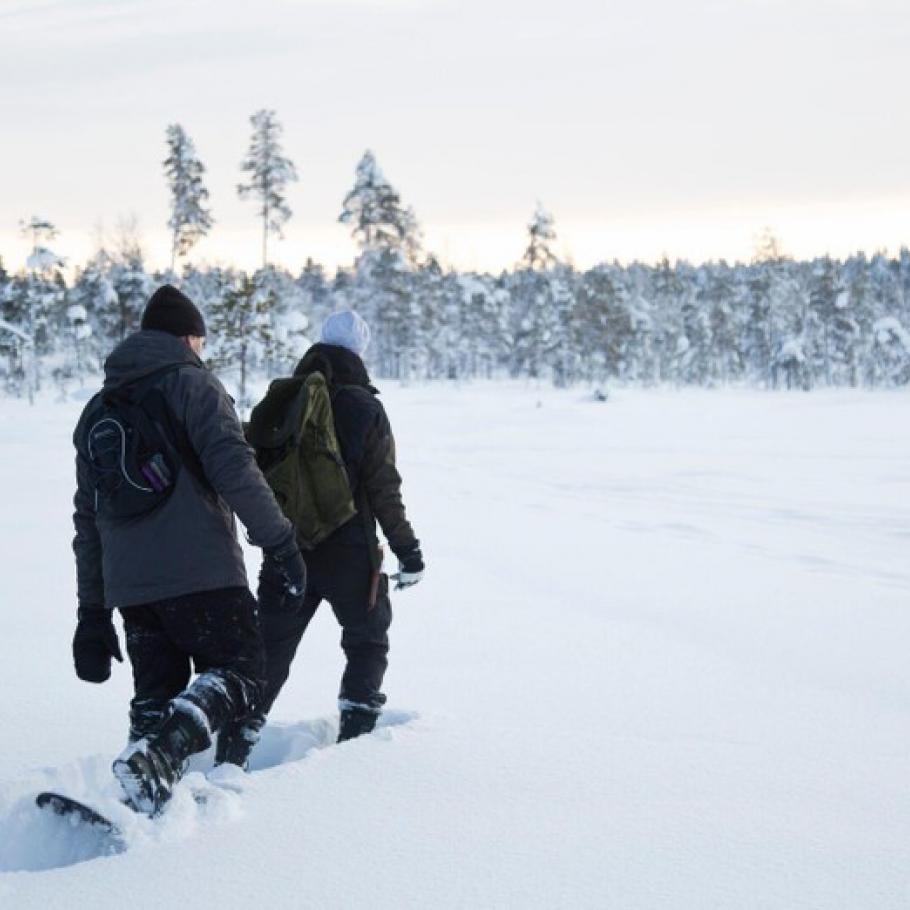 Finlandia - Viaggio di nozze in Lapponia finlandese