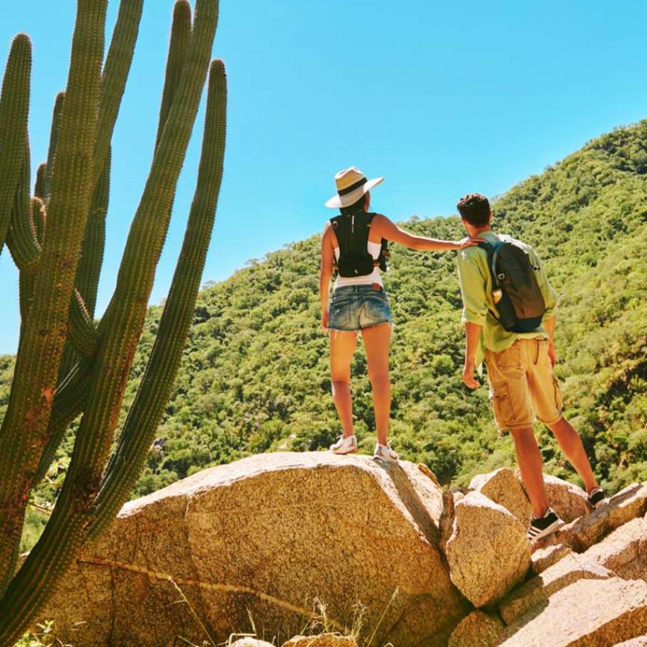 Baja California - Assaggio di Baja California