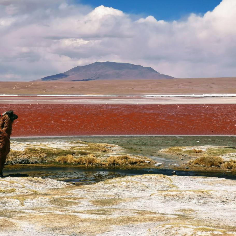 Cile – Bolivia - Perù