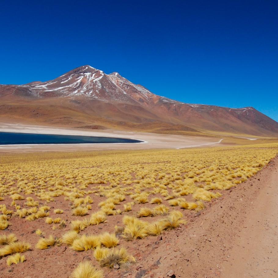 Cile – Bolivia - Perù
