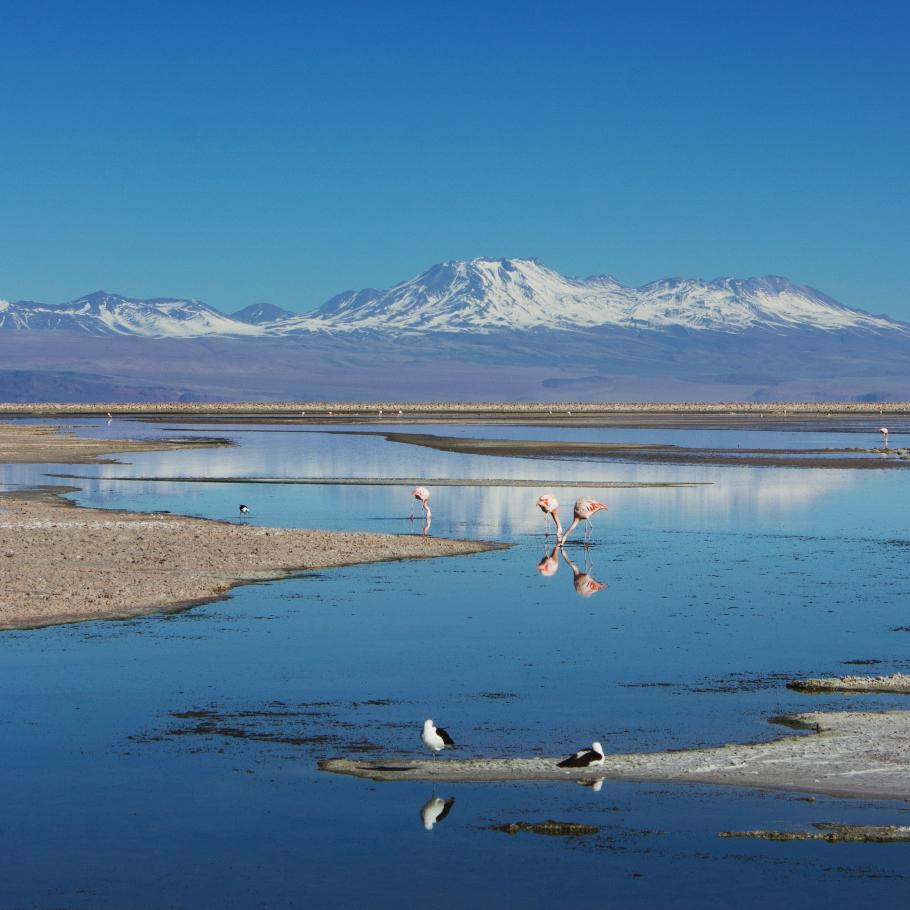 Cile – Bolivia - Perù