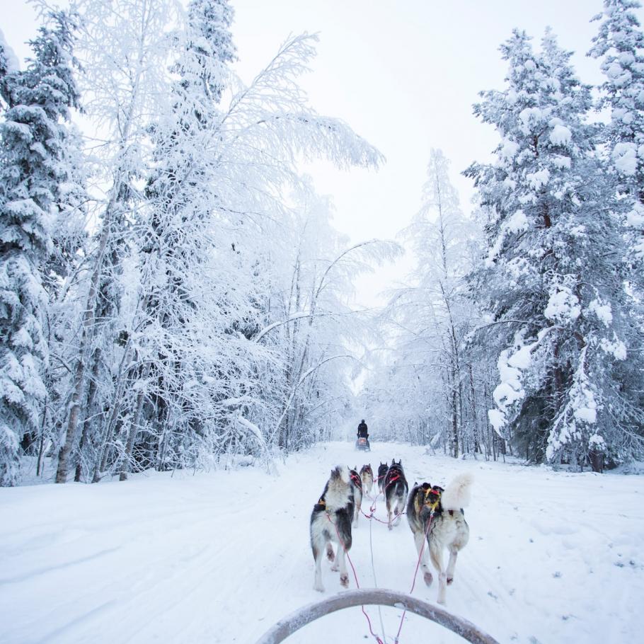 Finlandia - Rovaniemi e Ruka