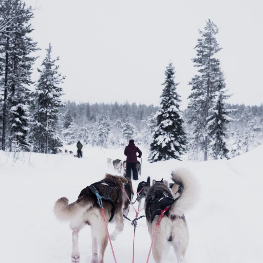 Finlandia e Norvegia - Avventure nordiche e aurora boreale