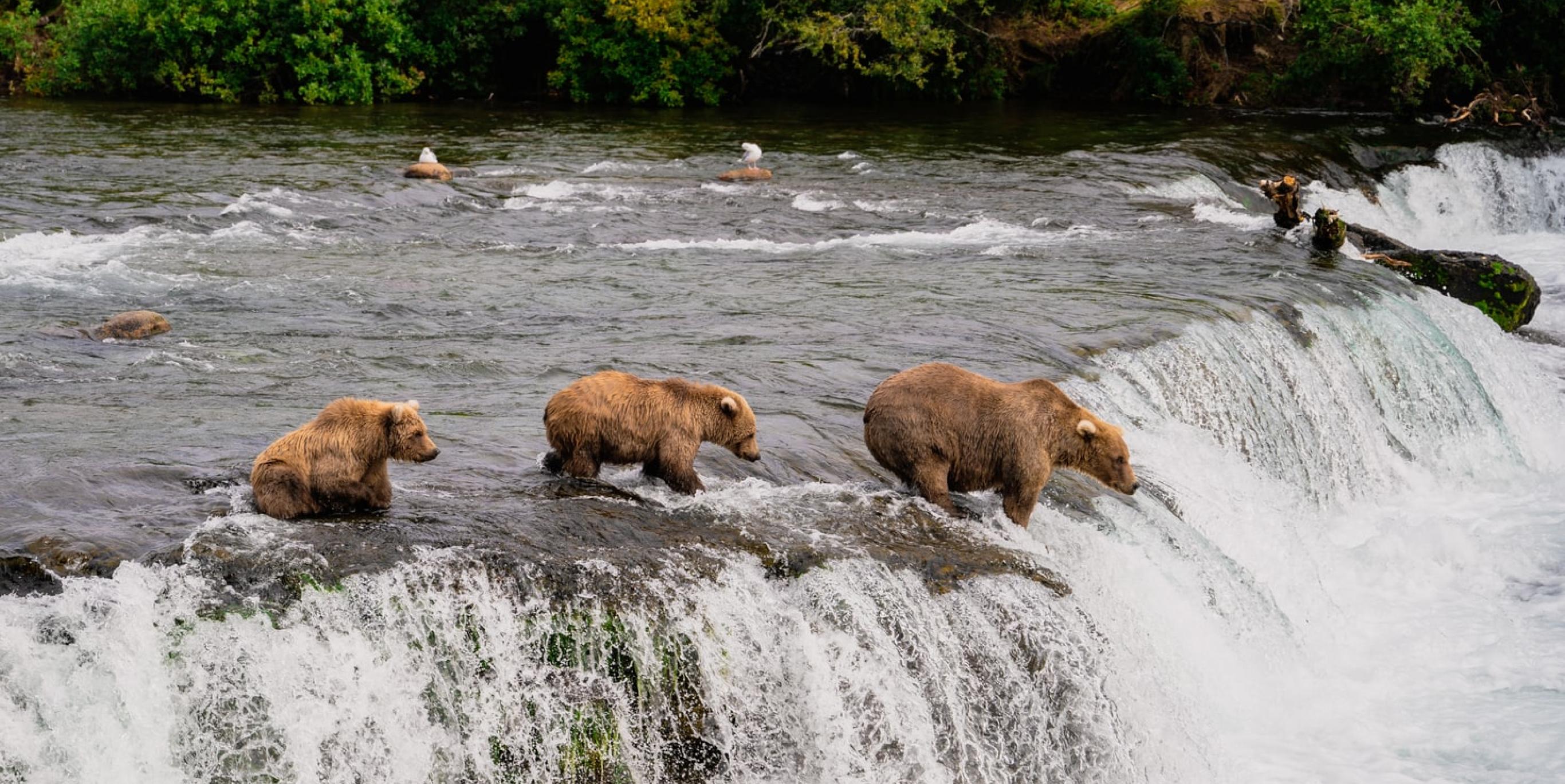 Alaska - Impronte a Nord Ovest