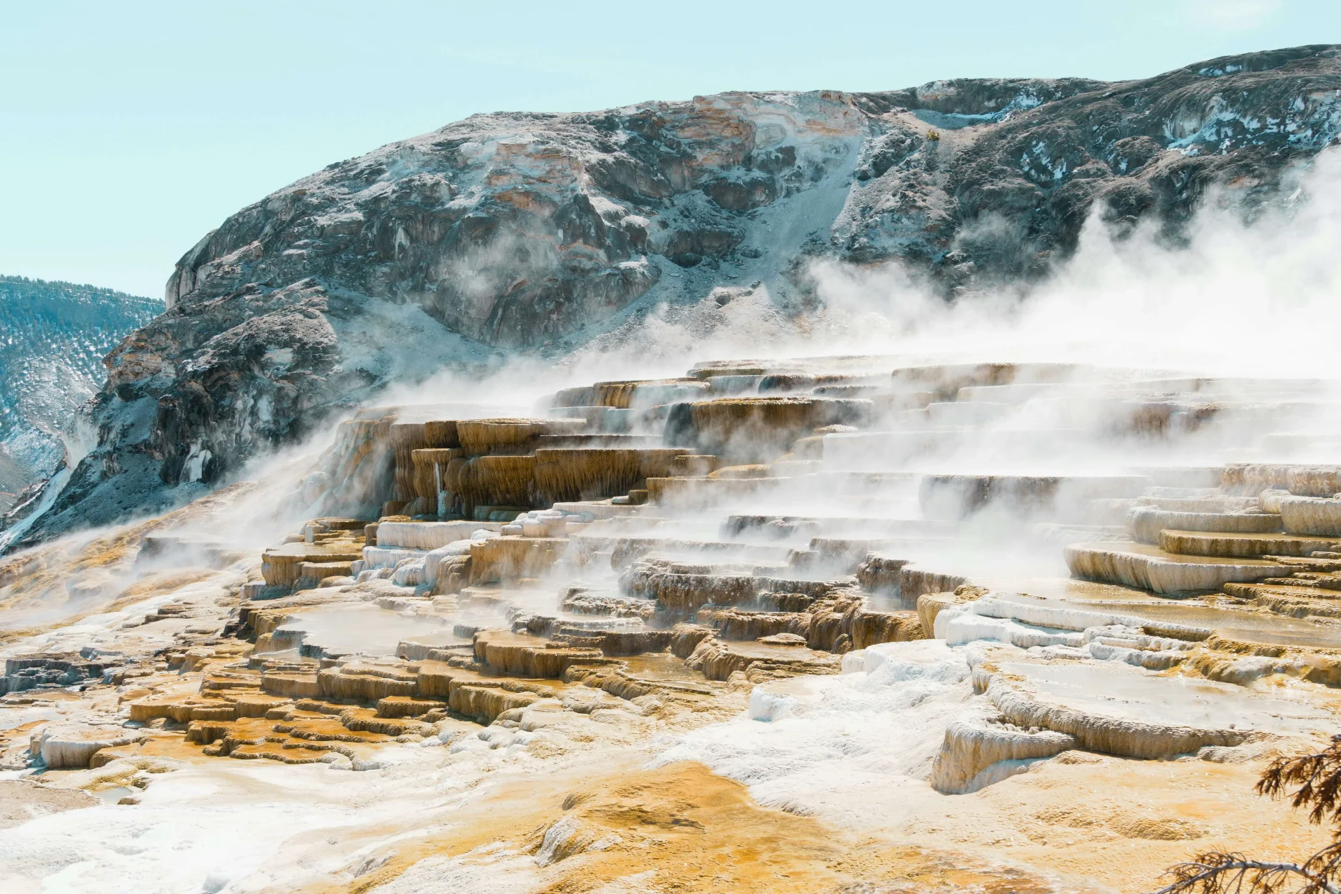 Mammoth Hot Springs