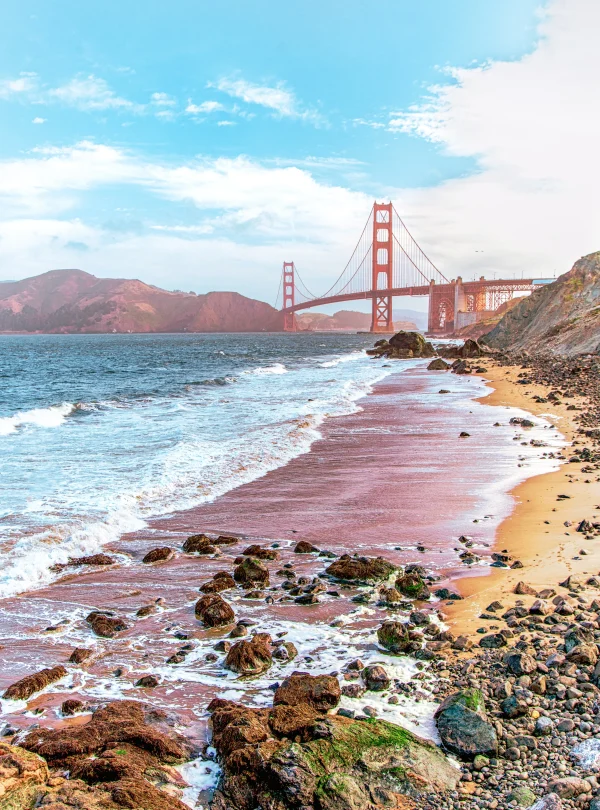 USA – La California e i vigneti