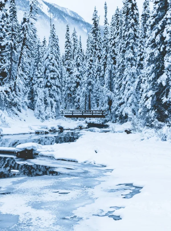 Canada – Inverno nel cuore delle Rockies canadesi