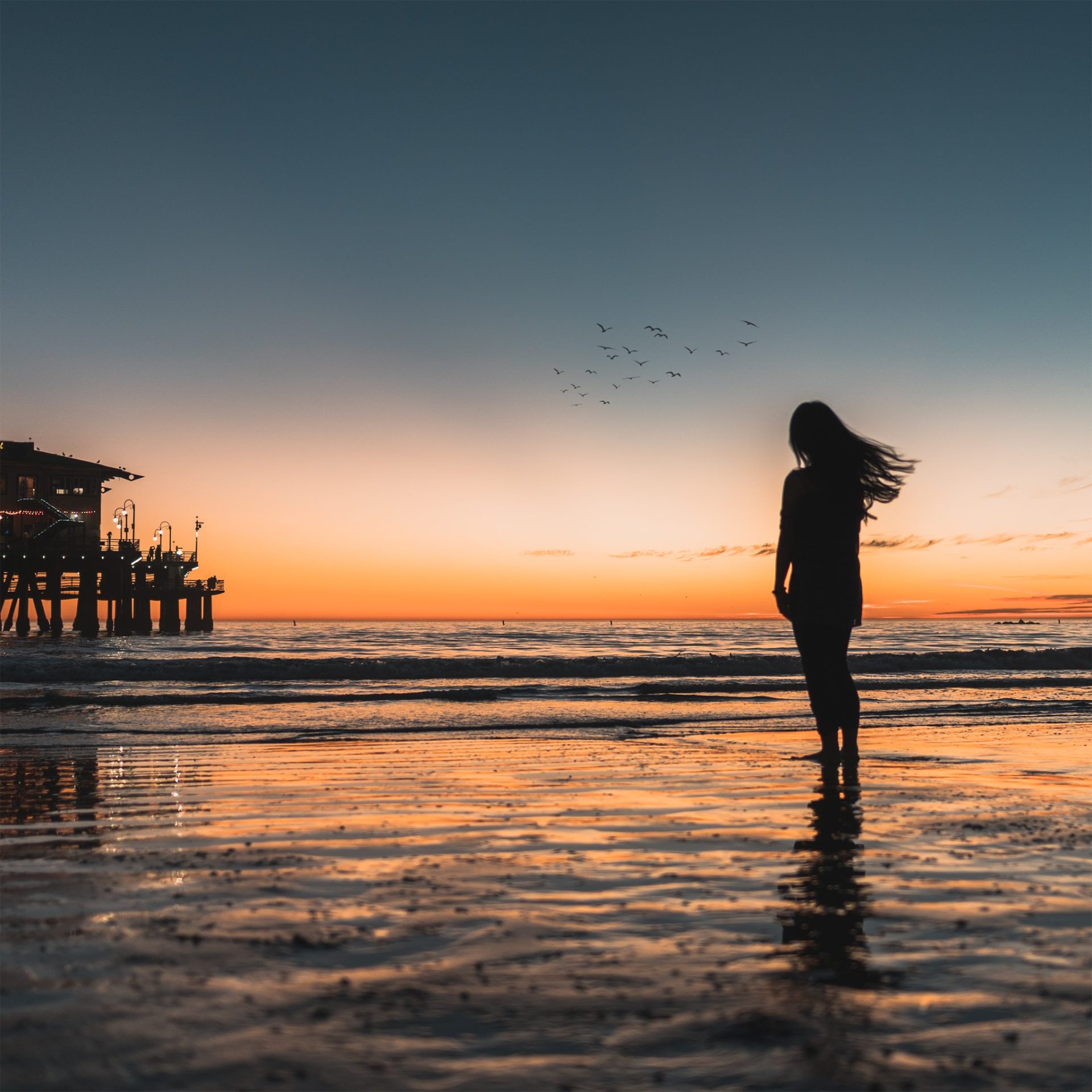 USA – Highway 1: la costa della California