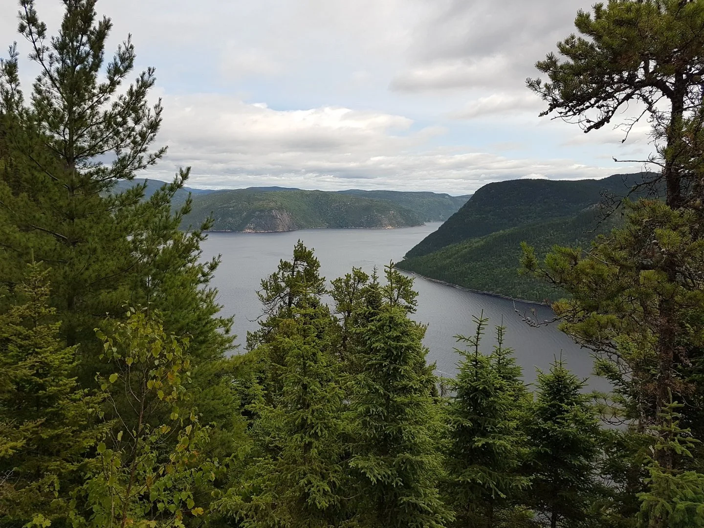 Canada - Fiordi, balene e foreste