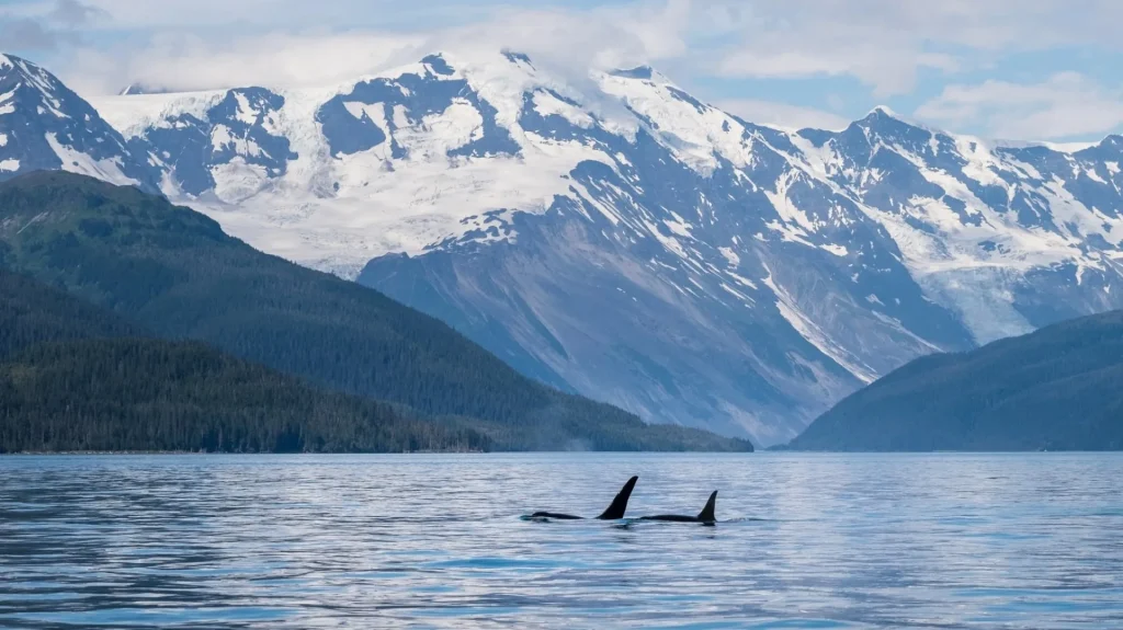 Alaska - Alaska Grand Tour