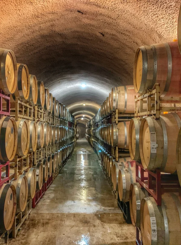 USA – La California e i vigneti