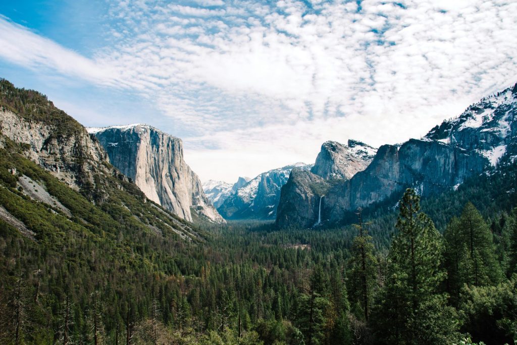 USA – La California e i vigneti