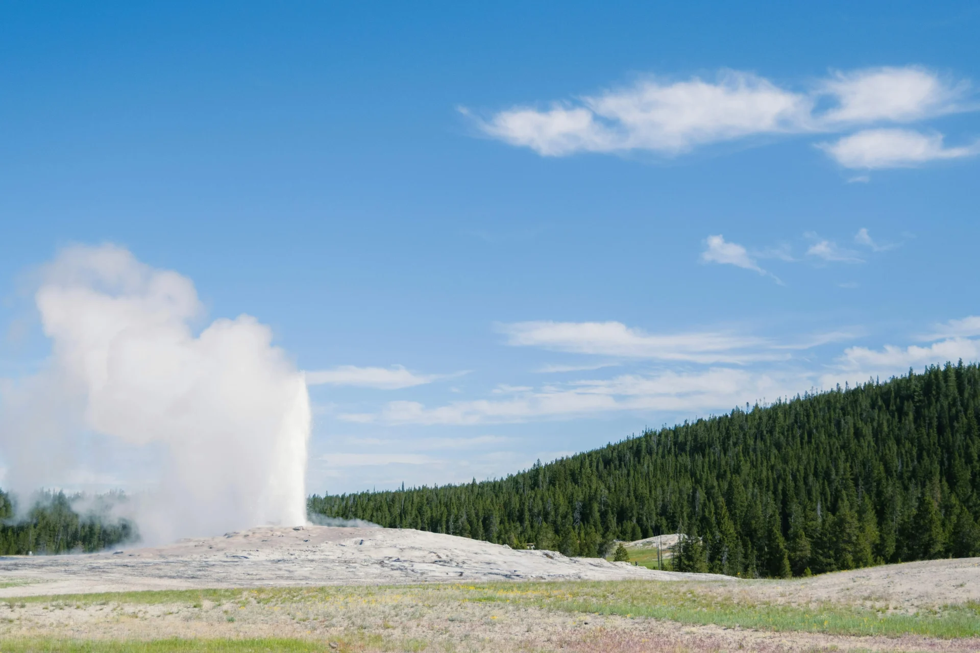 Old Faithful