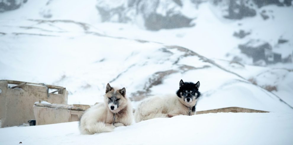 Svalbard – Ilulissat, avventura sul fiordo di ghiaccio