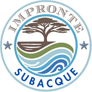 Impronte subacque